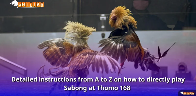 Detailed instructions from A to Z on how to directly play Sabong at Thomo 168 