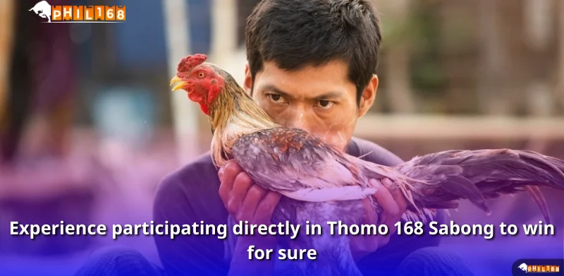 Experience participating directly in Thomo 168 Sabong to win for sure